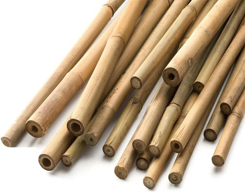 2ft 6ft canne di bambù - canne,