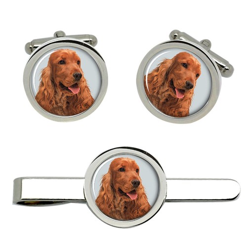 Inglese cocker spaniel - inglese, gemelli