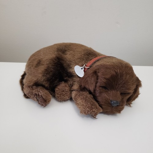 Perfetto petzzz marrone - petzzz,