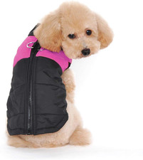 Animale Domestico Cane Vestiti