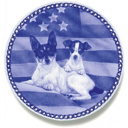 Fox terrier giocattolo - fox,