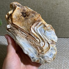 Bonsai Suiseki 792g - Pietra