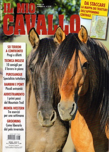 Mio cavallo 2018 giugno - mio, 6