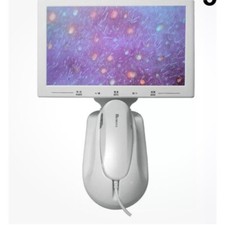 Questo link è per la