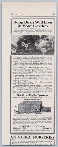 1914 jospeh dodson - jospeh, h