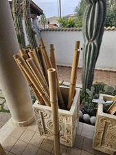Canne di Bamboo per orto -