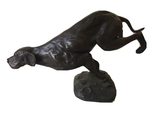 Pointer cane caccia - cane,