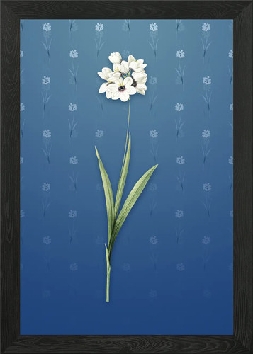 Quadro stampa tela poster - quadro,