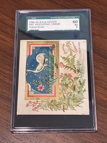1888 n40 allen - &, gioco