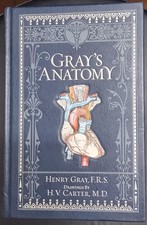 Gray's Anatomy Henry Gray