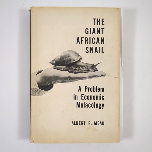 Giant african snail economic - giant,