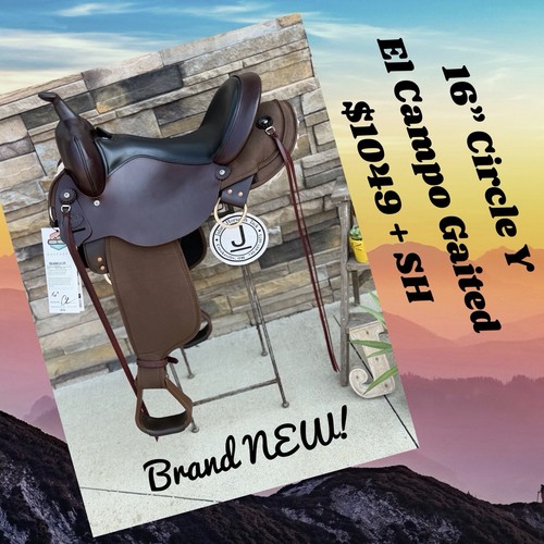 Circle el campo gaited - 16”,