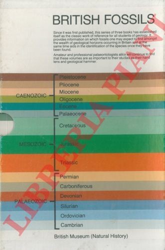 Fossili paleontologia - paleontologia,