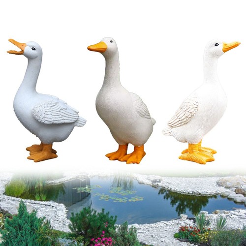 Decorazione giardino ornamento - giardino,