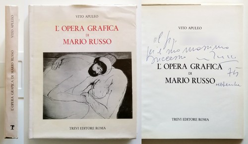 Opera grafica mario russo - l'opera, di