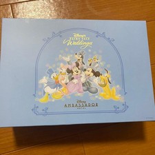 Disney Fiaba Matrimonio