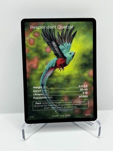 2025 life tcg - 2025, birds