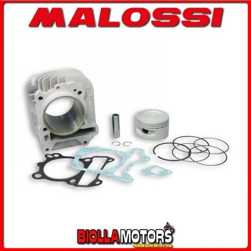 3111393 gruppo termico malossi - 3111393,