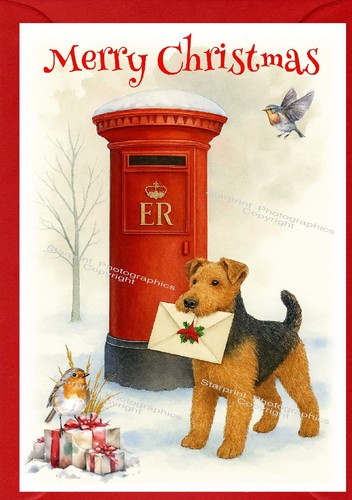 Biglietto natale welsh - biglietto,