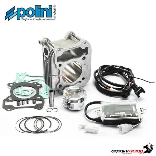 Gruppo termico polini - polini, con