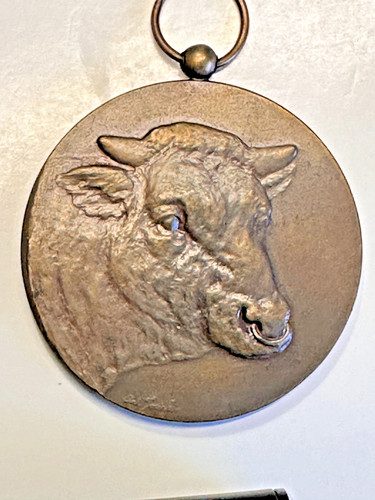 Medaglia bronzo belga nivelles - medaglia,