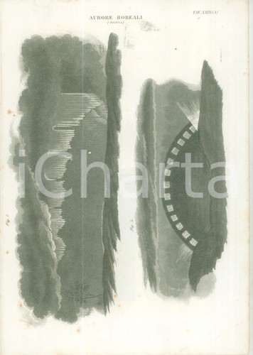 1860 scienze naturali - ca,