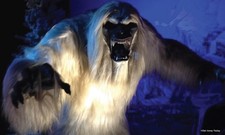 Disneyland 70° Anniversario