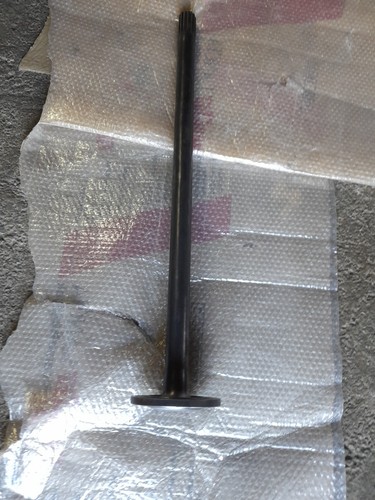 Lupetto 2 serie - lupetto,