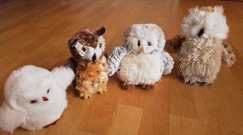 Gufo bambini peluche - bambini,