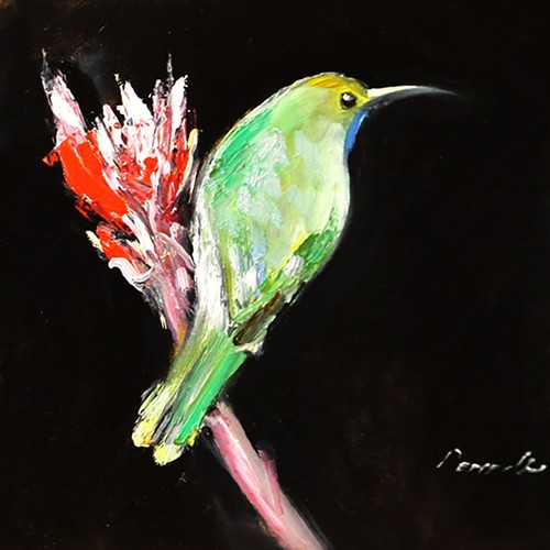 Arte collezione uccellino - arte, da