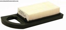 BRIGGS & STRATTON Filtro Aria
