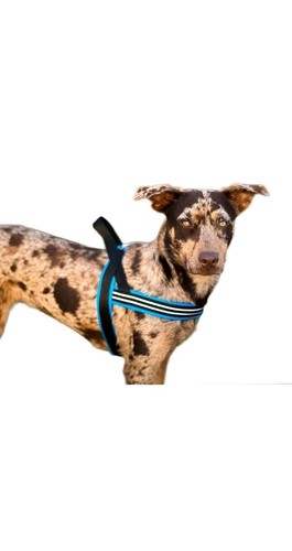 Comfortflex sport imbracatura - sport,