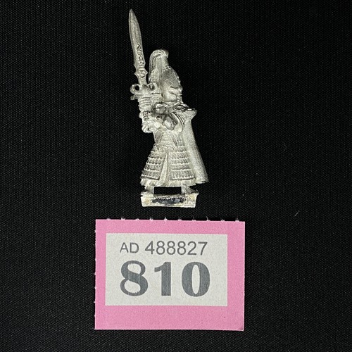 Alto elfi swordmaster hoeth - elfi,