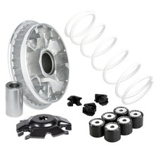 MF8619 Variatore Malossi