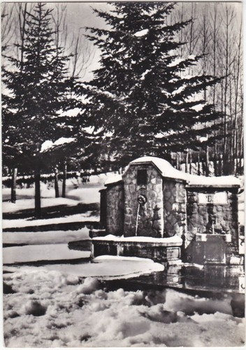 Gambarie aspromonte reggio - gambarie,
