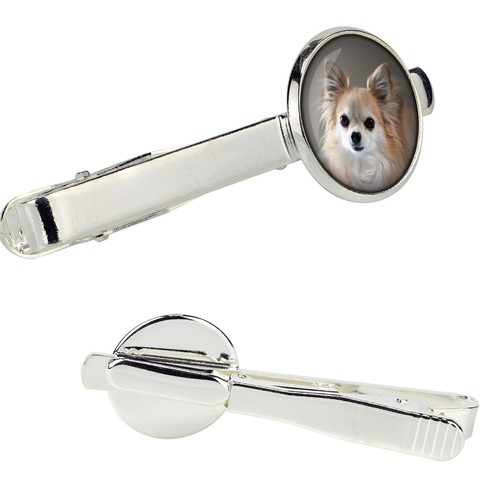 Chihuahua pelo lungo - a,