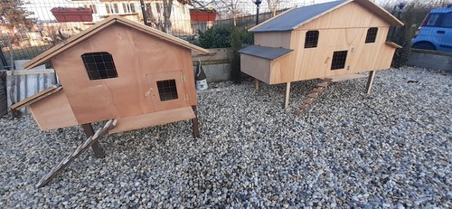 Pollaio per galline - pollaio,