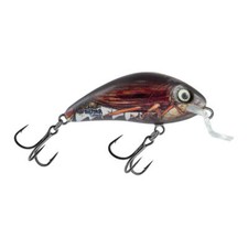 Salmo Esche Artificiali Rattlin Hornet Shallow Reale Cockchafer Pesciolini Duro