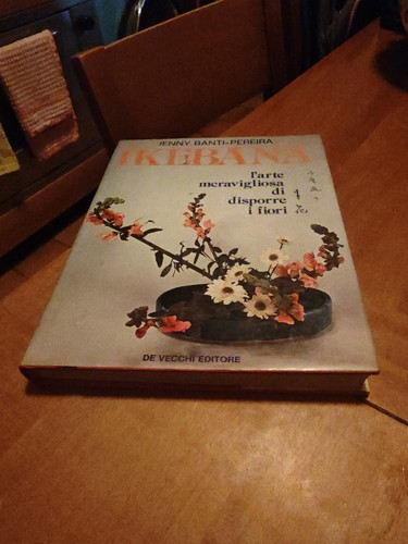 Ikebana jenny banti - ikebana,