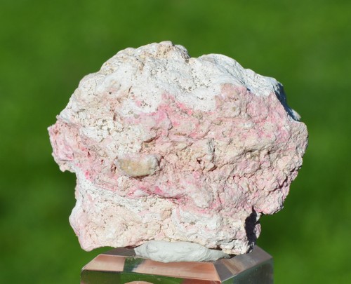 Sepiolite opale rosa var - sepiolite,
