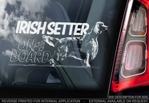 Irish setter car window - setter,
