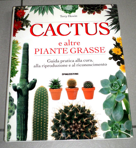 Hewitt cactus altre piante - altre,