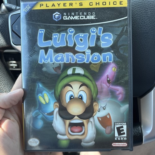 Luigi mansion scelta del - luigi's,