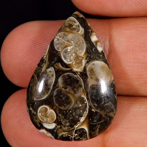 Cabochon pera fossile di - di,