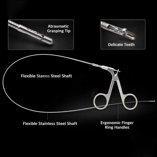 Pinza per biopsia flessibile