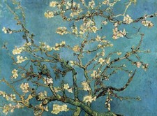 stampa su tela di Van Gogh, Mandorlo in fiore, eff. dipinto, con telaio e ganci.