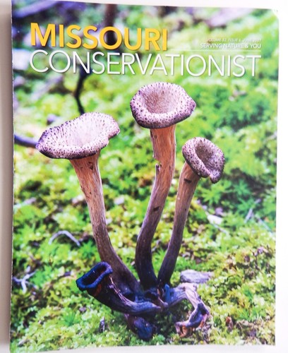 Missouri conservationist black - conservationist,