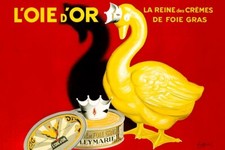 Poster Manifesto Locandina