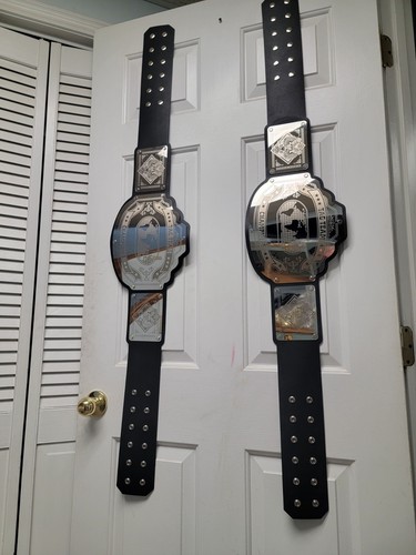 Tag team champions - tag,