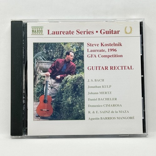 Steve kostelnik guitar - kostelnik, –